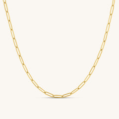Paperclip Necklace